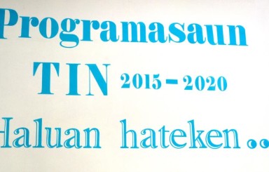 Programasaun 2015-2020
